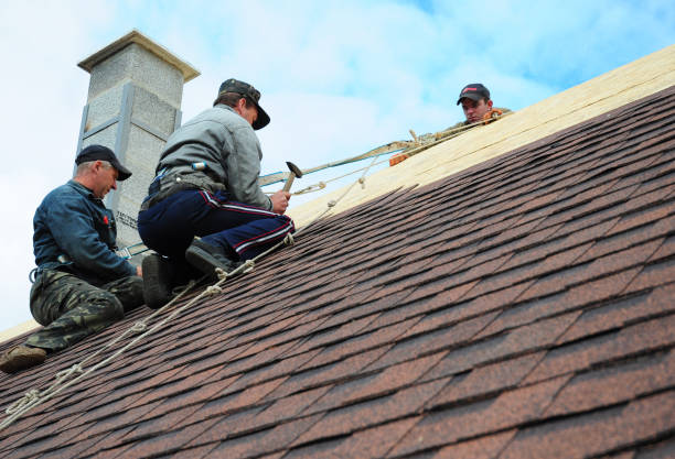 Best Gutter Installation and Roofing  in Olivet, NJ
